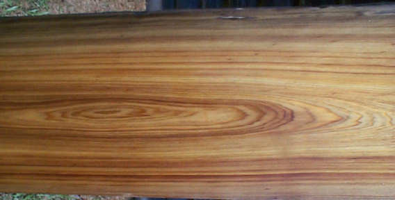 cypress, sinker 12 s50 web.jpg